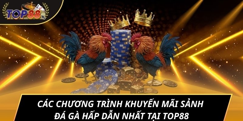 Các chương trình khuyến mãi sảnh đá gà hấp dẫn nhất tại TOP88