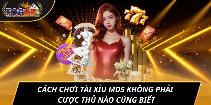 Cách chơi tài xỉu MD5 không phải cược thủ nào cũng biết