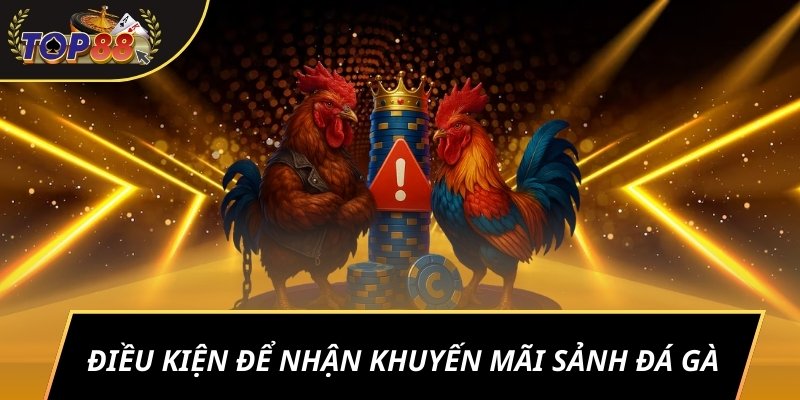 Điều kiện để nhận khuyến mãi sảnh đá gà