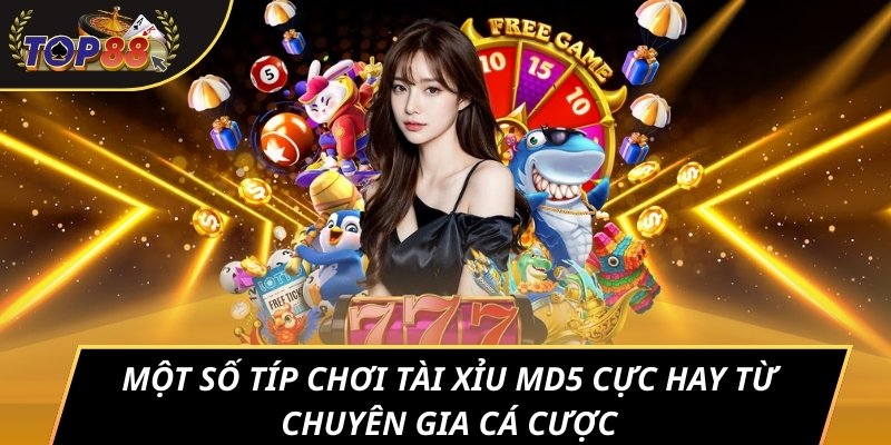 Một số típ chơi Tài xỉu MD5 cực hay từ chuyên gia cá cược